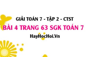 Giải bài 4 trang 63 Toán 7 tập 2 SGK Chân trời sáng tạo
